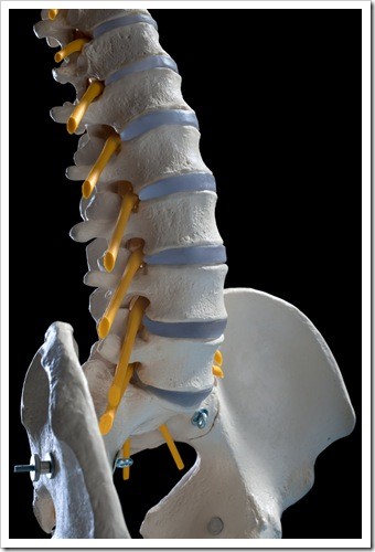 Herniated Disc and Back Pain Ventura CA