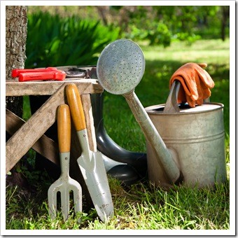 Spinal Health Gardening Ventura CA
