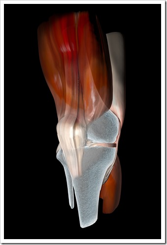 Knee Pain Ventura CA Sports Injury